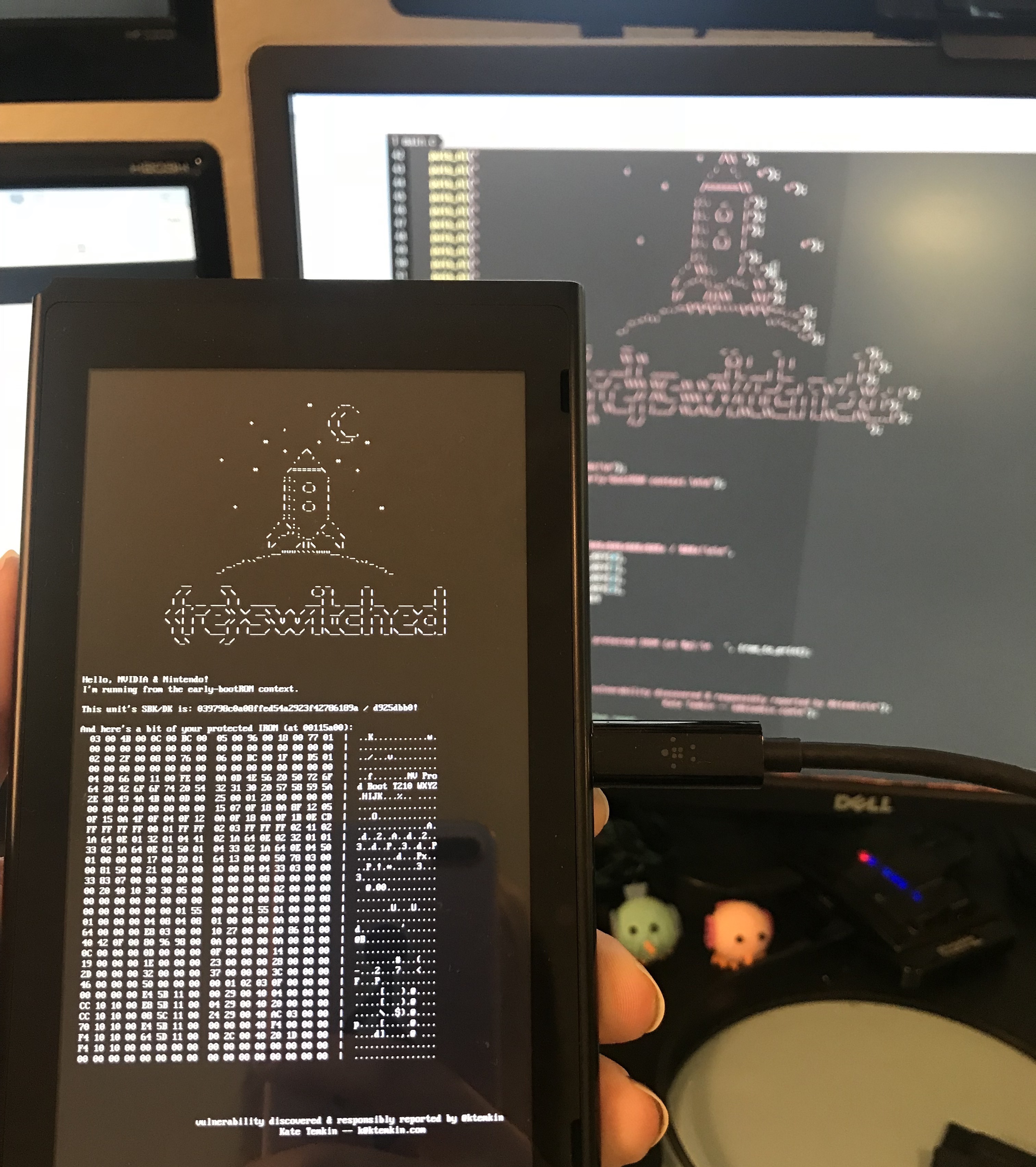 an image of a nitendo switch showing an ascii rocket ship, greetings to nvidia and nintendo, the protected keys for the device, and a dump of a bit of the bootrom that shouldn't be exfiltrateable